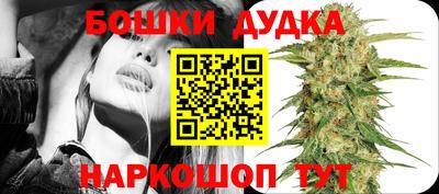 стаф Нальчик