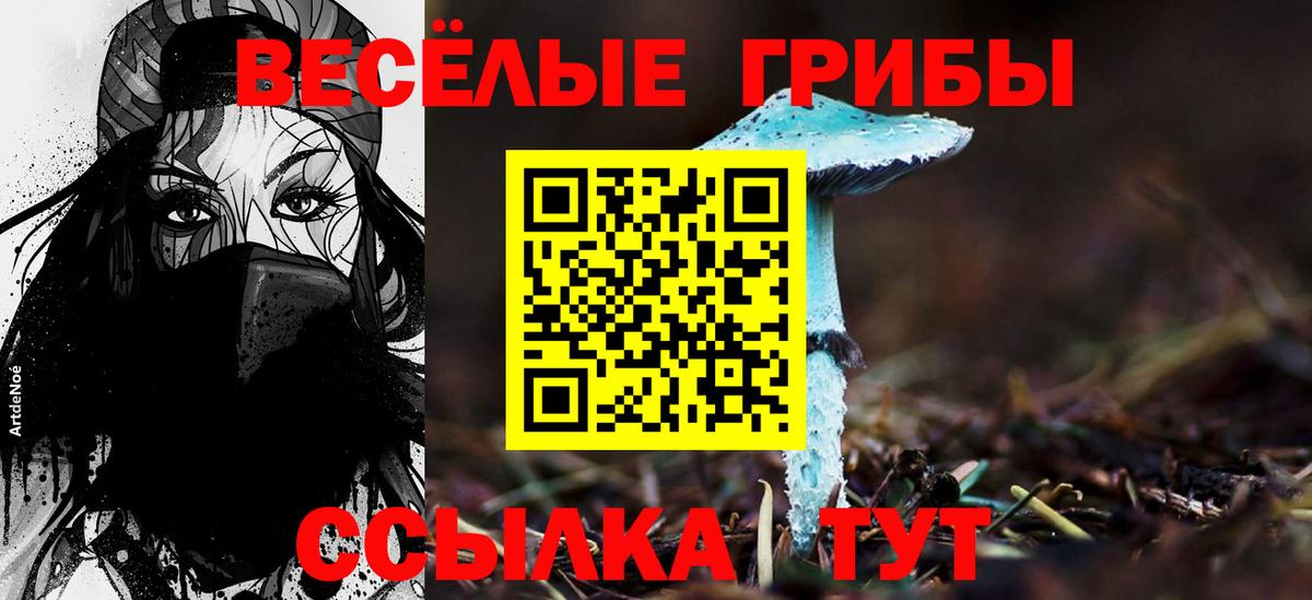 Татарск  Псилоцибиновые грибы мицелий  Вход с VPN  Галлюциногенные грибы Psilocybe 