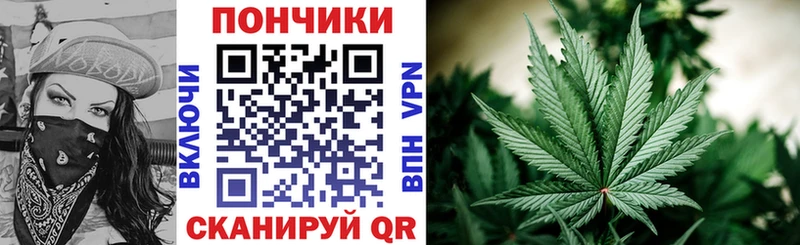 как найти   Татарск  площадка как зайти  Бошки Шишки SATIVA & INDICA 